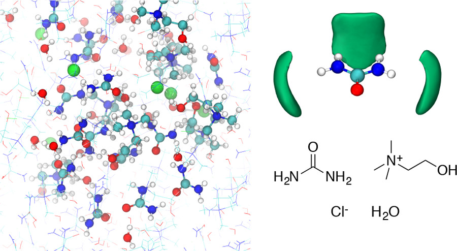 First-Principles Molecular Dynamics Study of a Deep Eutectic Solvent: Choline Chloride/Urea and Its Mixture with Water