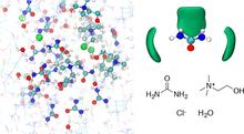 First-Principles Molecular Dynamics Study of a Deep Eutectic Solvent: Choline Chloride/Urea and Its Mixture with Water