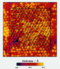 Domain formation and system-size dependence in simulations of self-assembled monolayers