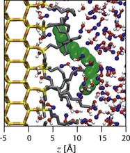 A molecular simulation study of the effects of stationary phase and solute chain length in reversed-phase liquid chromatography