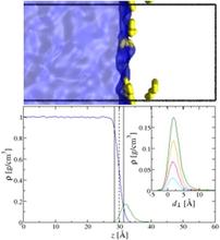 Monte Carlo simulations probing the liquid/vapour interface of water/hexane mixtures: adsorption thermodynamics, hydrophobic effect, and structural analysis