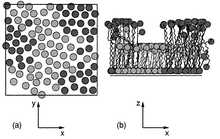 Monte Carlo studies of the microscopic properties of organic thin films